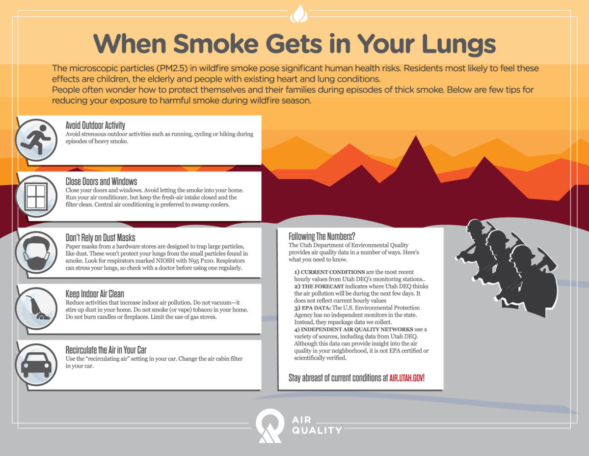 Understanding Wildfire Smoke Pollution Ucair 3221